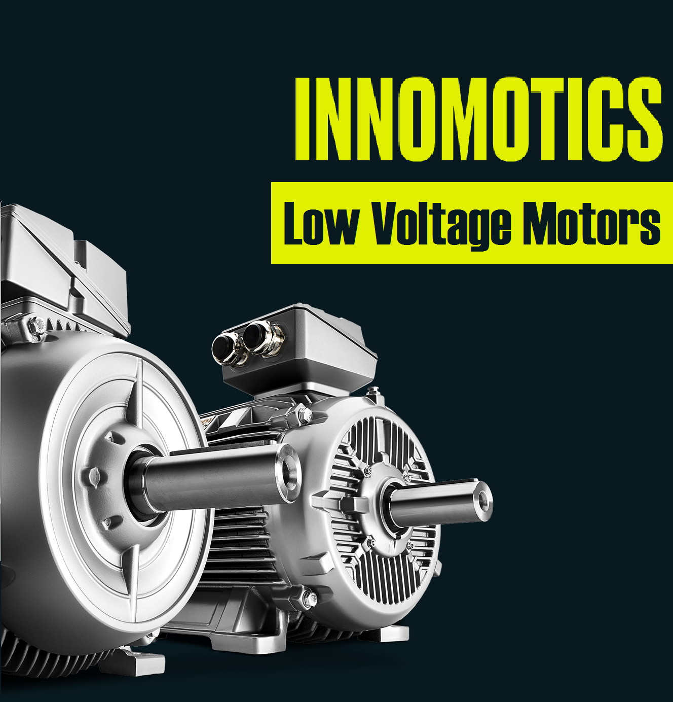 Low Voltage Motors