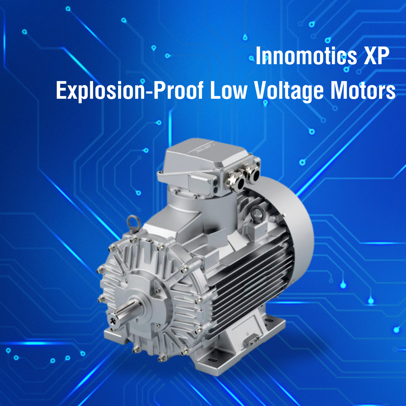 Innomotics XP Explosion-Proof Low Voltage Motors